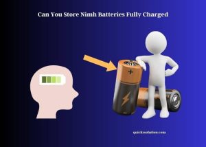 can you store nimh batteries fully charged