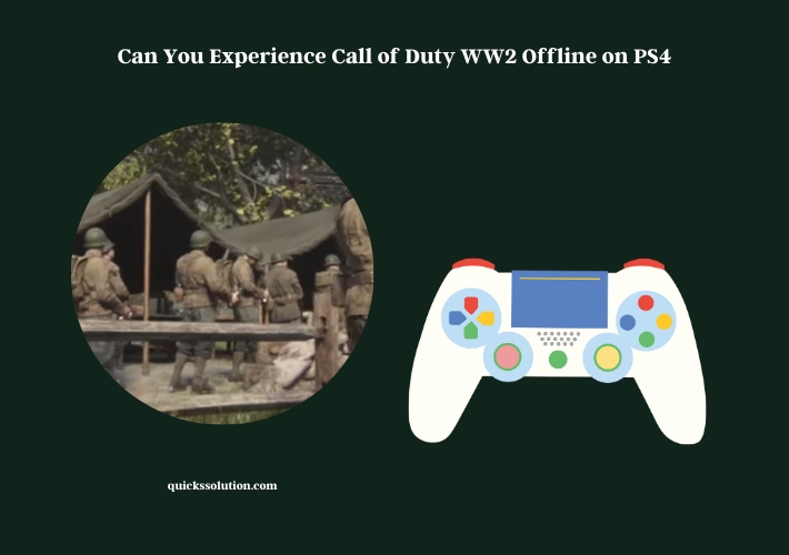 Can Call of Duty WW2 play offline?